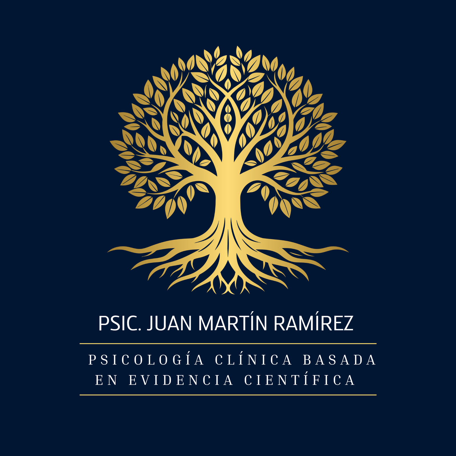 psicjuanmartin.com